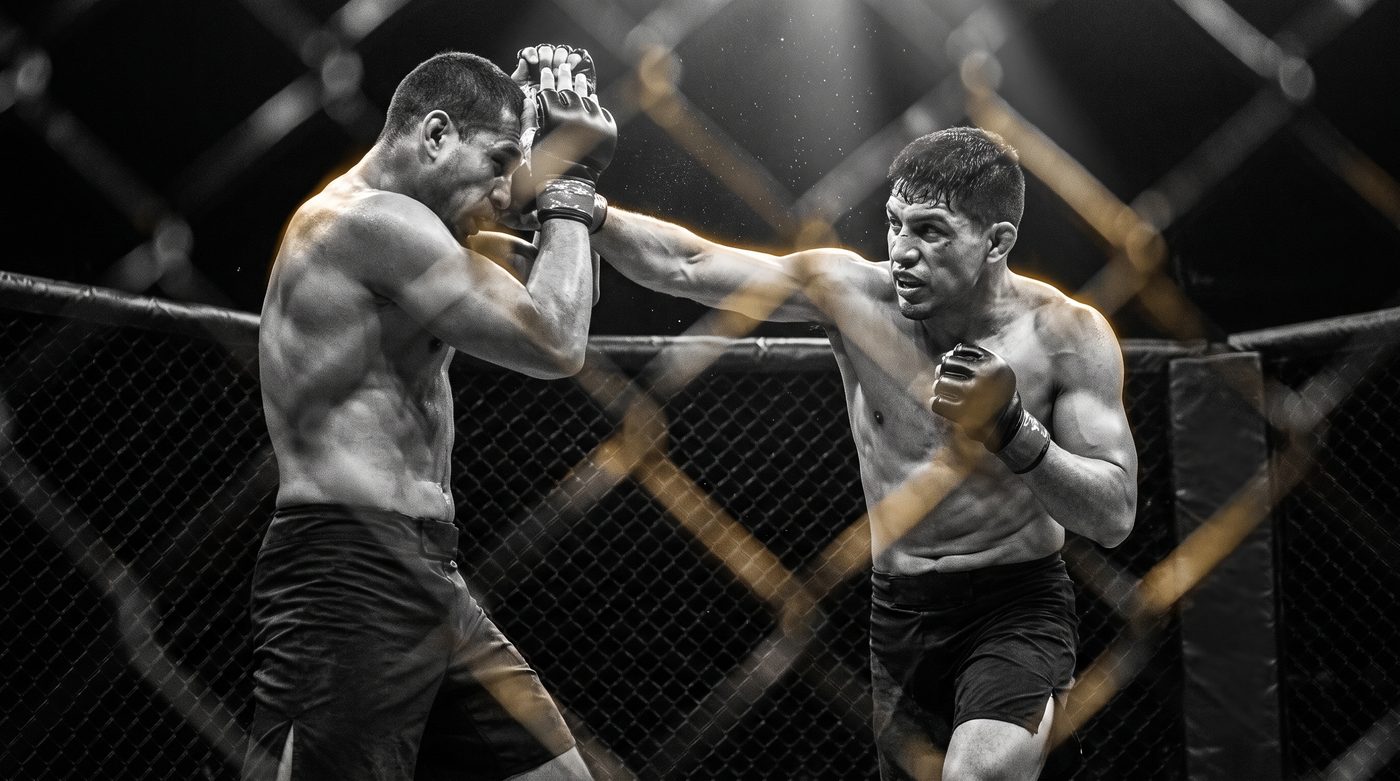 MMA fighters in the octagon